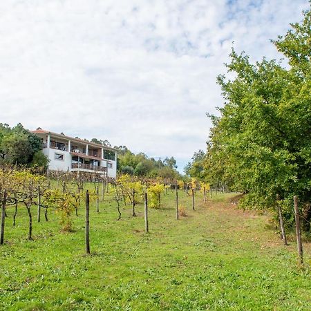 Апартаменти Quinta Da Quinta Вієйра-ду-Міню Екстер'єр фото