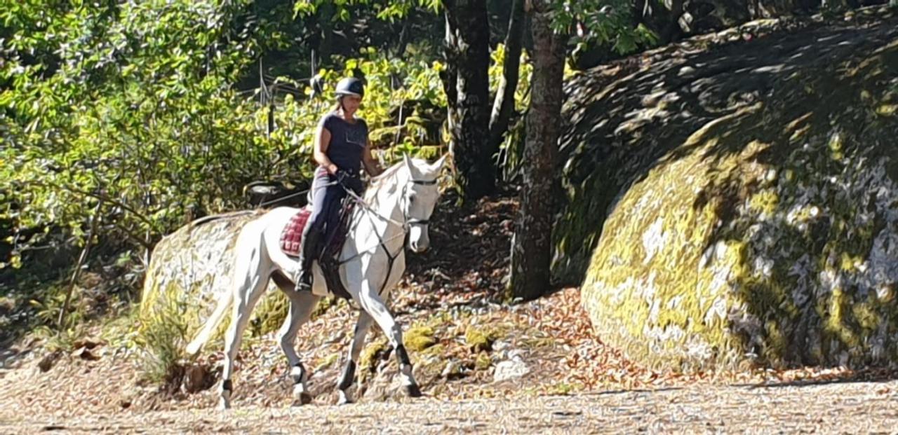 Апартаменти Quinta Da Quinta Вієйра-ду-Міню Екстер'єр фото